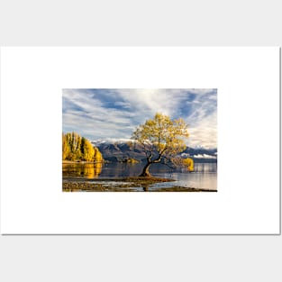 Wanaka Lake Tree 3 Posters and Art